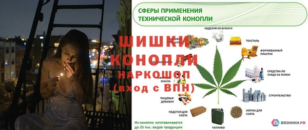 прущие грибы Балахна