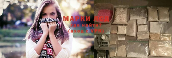 прущие грибы Балахна