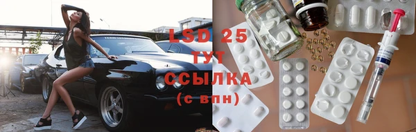 прущие грибы Балахна