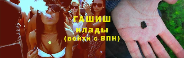 прущие грибы Балахна