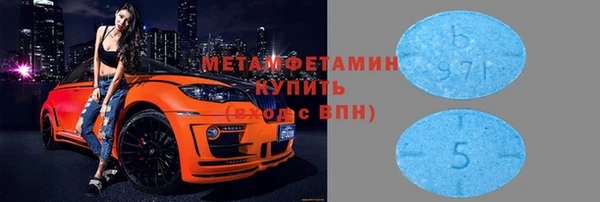 прущие грибы Балахна