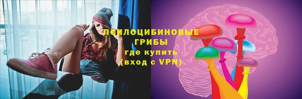 прущие грибы Балахна