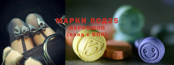 прущие грибы Балахна
