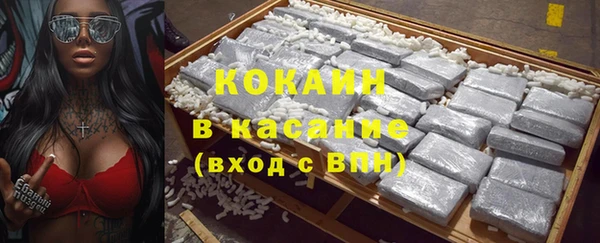 прущие грибы Балахна